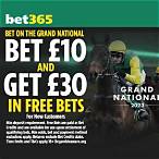 how to put a bet on the grand national